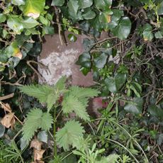 Milestone Approximately 45 Metres To West Of Stockfield