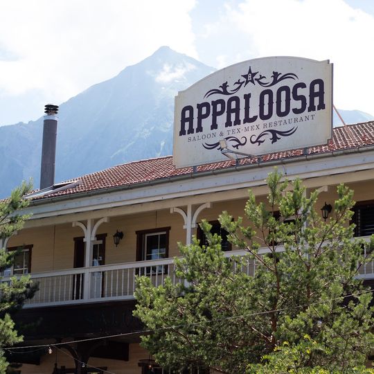 Appaloosa