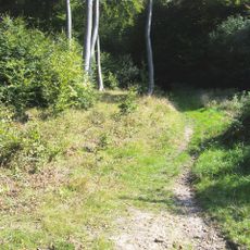 Bradenham Woods, Park Wood and The Coppice