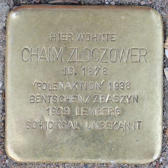 Stolperstein en memoria de Chaim Zloczower