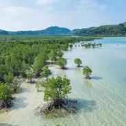Las capas ocultas del sur de Japón: lo que hace que Kyushu y Okinawa valgan el viaje