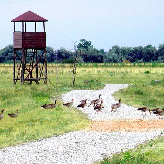 Parco nazionale Fertő-Hanság