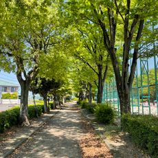 Ichinokuta Chuo Park