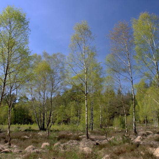 Tannersand und Gierenberg