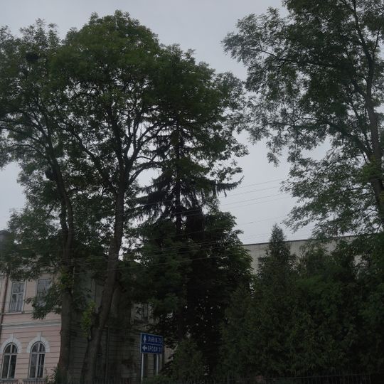 Grupa vikovykh jaseniv