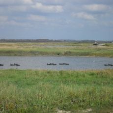 Baie d'Authie