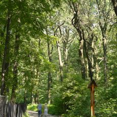 Park Leśny im. Powstańców Śląskich w Radlinie