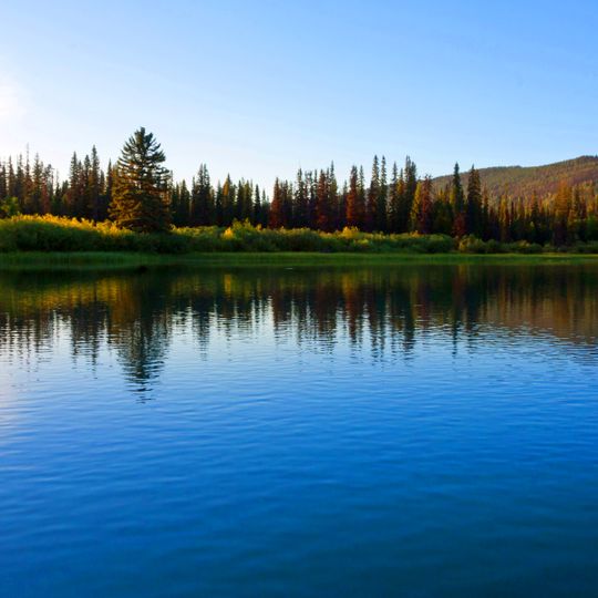 Parc provincial de la Rivière-Caribou