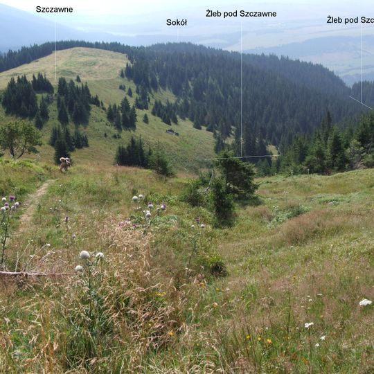 Żleb pod Szczawnem