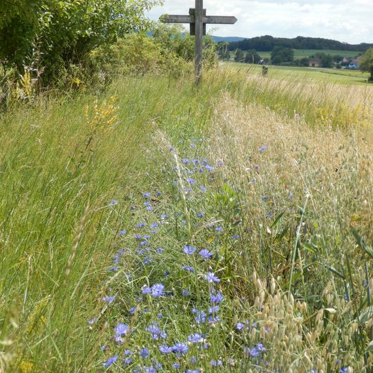 Holzkreuz am Weg Wanzenau - Wolfshof