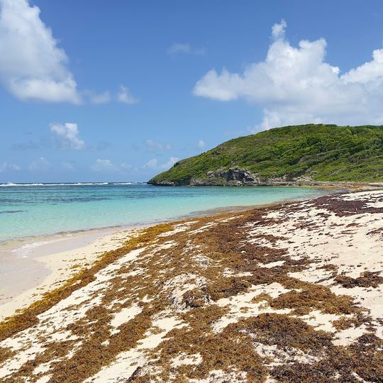 Plage d'anse feuillard