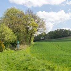 NSG Abgrabung Stemmen