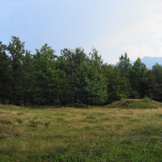 Napoleonwiese Hügelgräberfeld