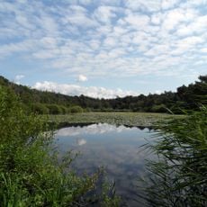 Wernerwald