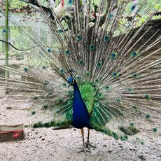 Parc Animalier de la Bannie