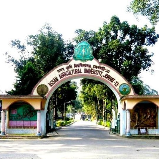 Assam Agricultural University
