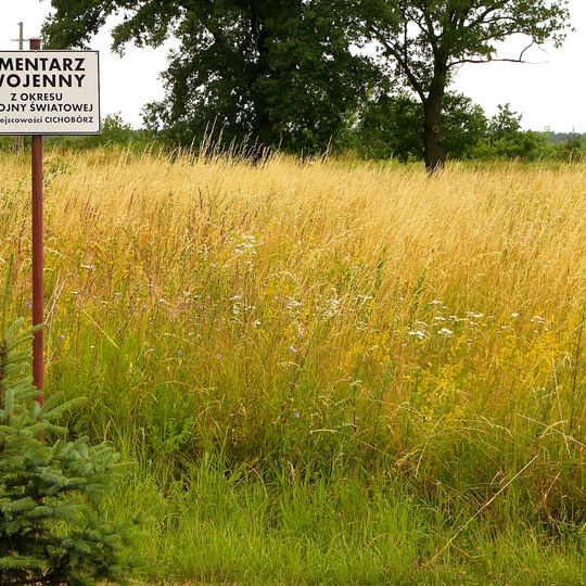 Cmentarz wojenny z I wojny światowej w Cichoborzu