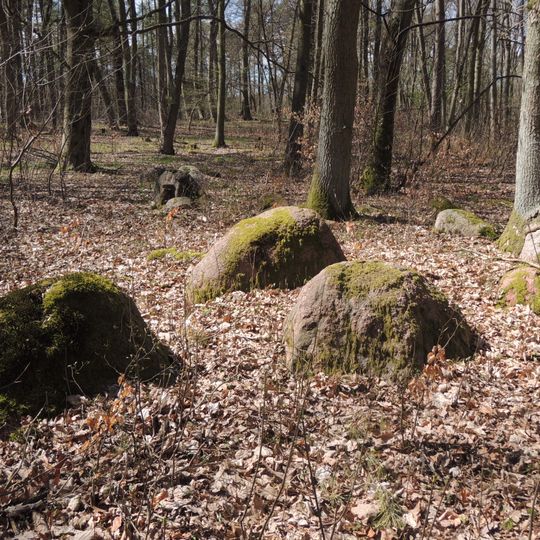 Großsteingrab ALV 15