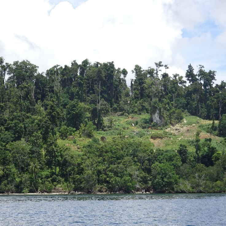 Isla de Waigeo