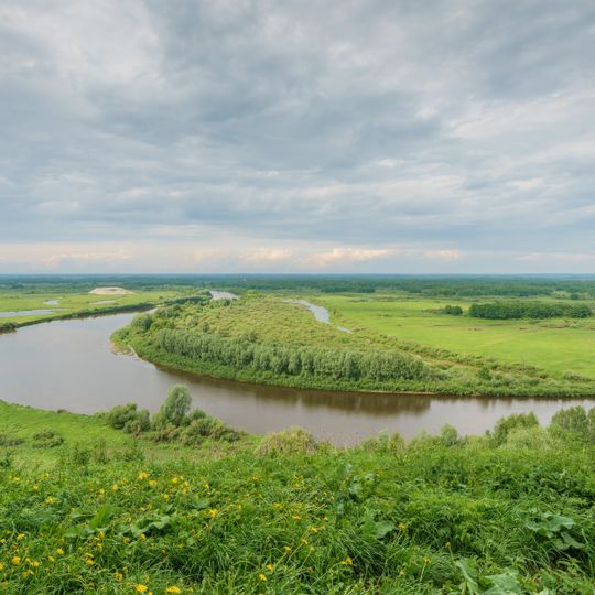 Vyaznikovsky District