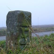 33