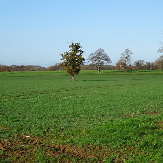 Roman fort and outworks 550yds SW of Canon Frome Court