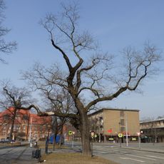 Jerlín ve Vítkovicích