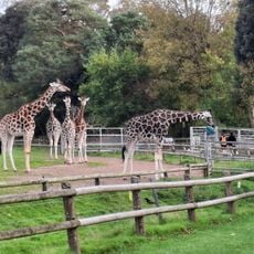 Fota Wildlife Park