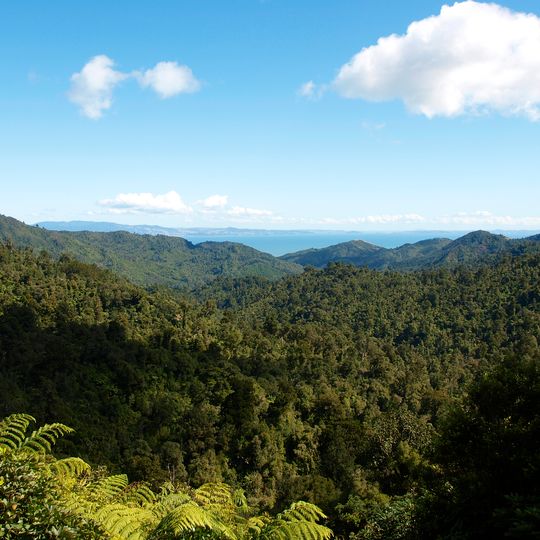 Coromandel Forest Park