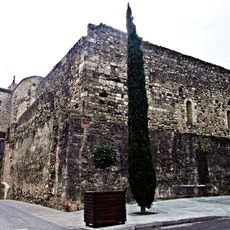Castell de la Selva del Camp