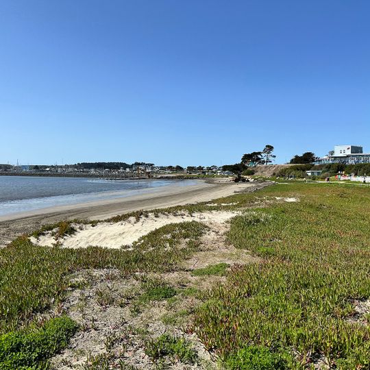 Pillar Point Harbor Beach