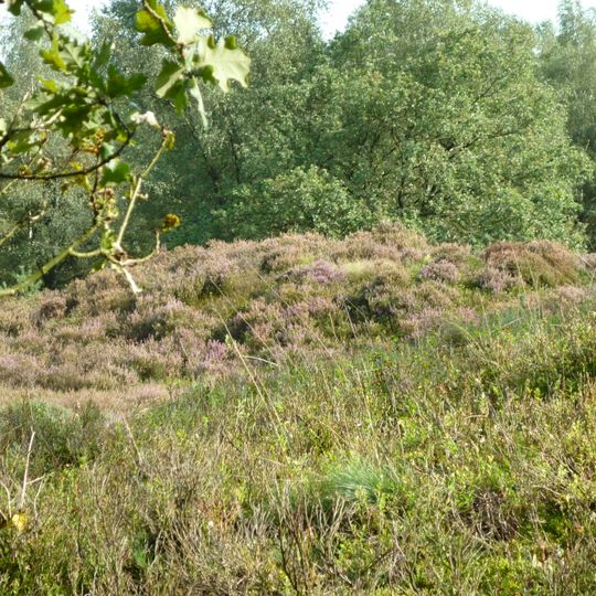 Terrein waarin vijf grafheuvels