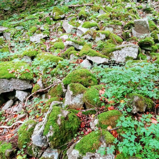 Stone run Hoher Meißner