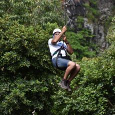 Lavillion Natural Forest