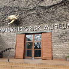 Naturhistorisk Museum Aarhus