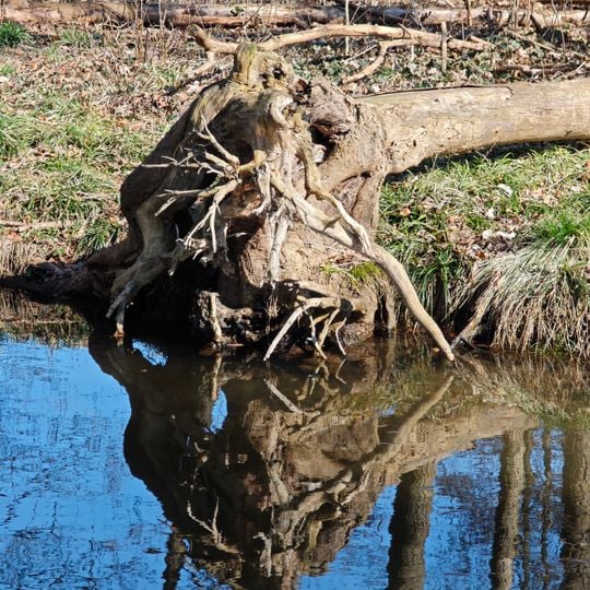 Schlosspark Buckow