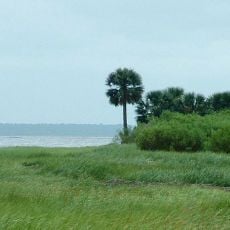 St. Marks National Wildlife Refuge