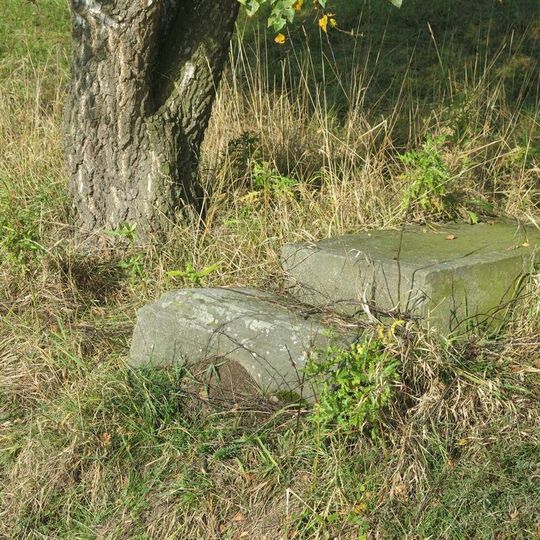 Rozvalený kříž u silnice z Hlupic do Haslic