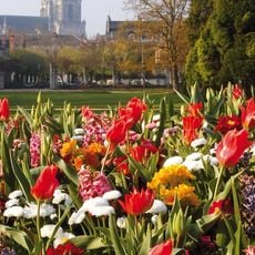 Parc Pasteur d'Orléans