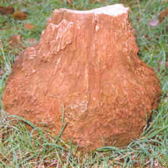 Parco nazionale di Fossil