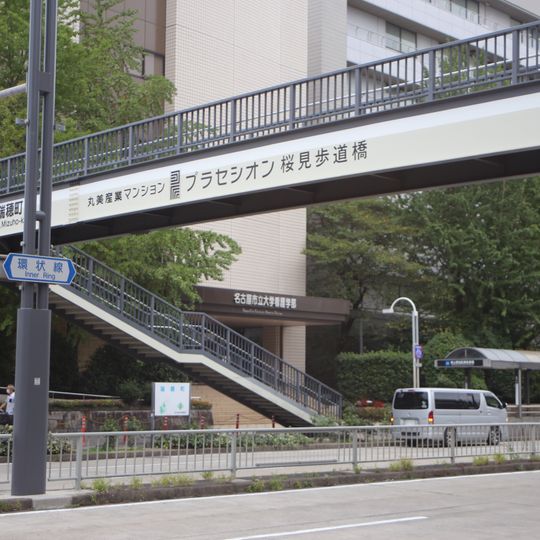 Sakurami Footbridge