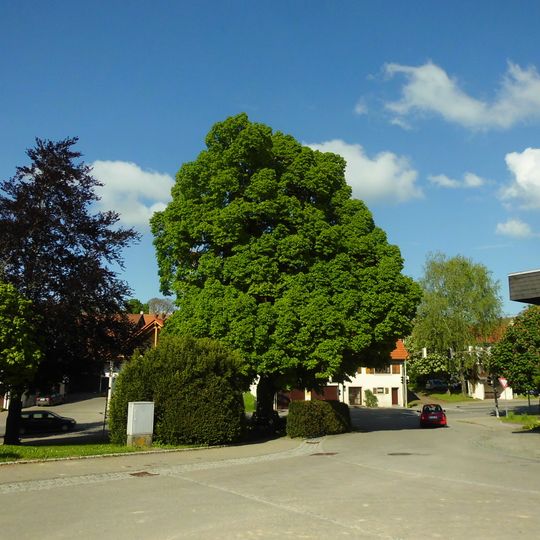 Friedenslinde Holzelfingen