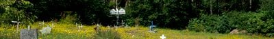 Panoramic View 0