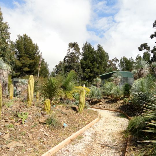 Jardín de pájaros tropicales