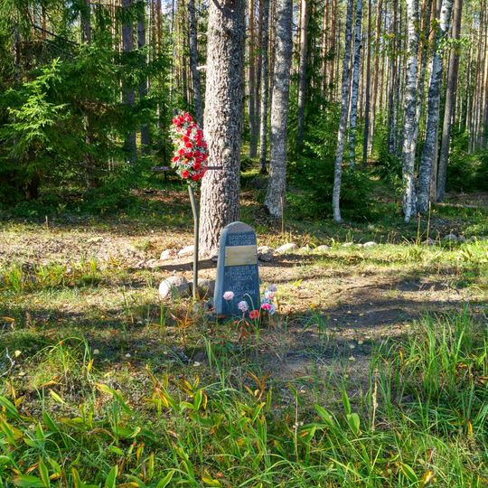 Братская могила советских воинов, погибших в годы советско-финляндской войны