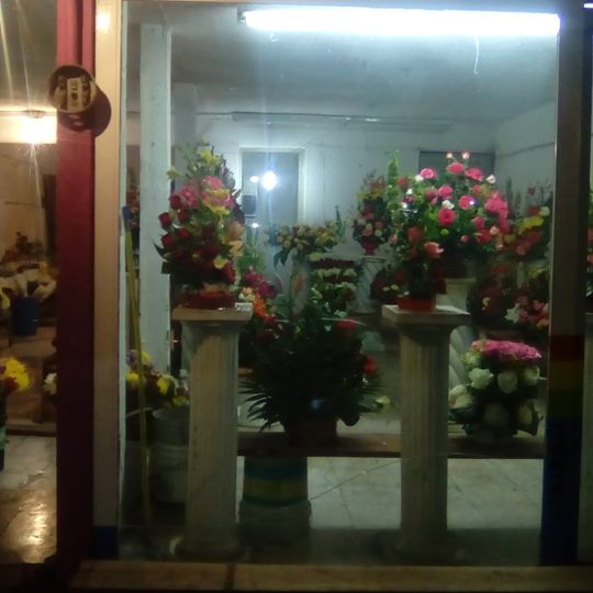 Tacos Los Volcanes