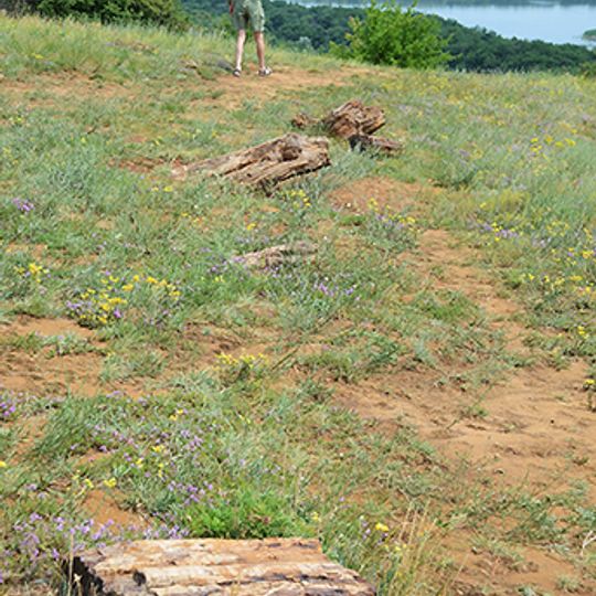 Kleban-Bytske outcrop