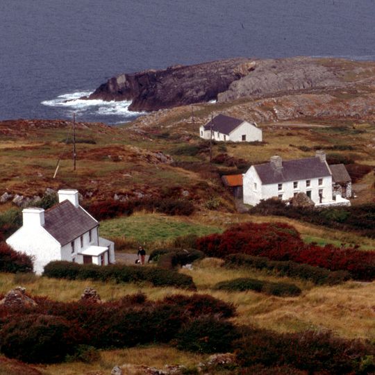 Sheep's Head