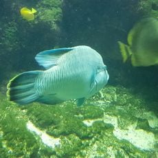 Aquarium du CE ADP d'Orly