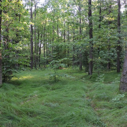 Pidsnizhnyk botanical preserve
